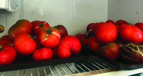 The freezer of our porch refrigerator has been full of tomatoes recently with the summer harvest in full swing. Notice that some of the tomatoes have been cracking on the vine. They might not be very appealing to look at, but that doesn’t really matter because all of these will be processed into things like salsa, soups, and tomato sauce.