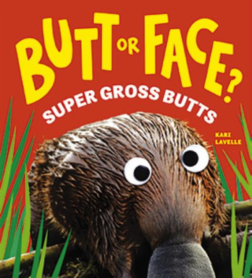 The cover of the book that sparked so much discussion at Monday’s school board meeting.