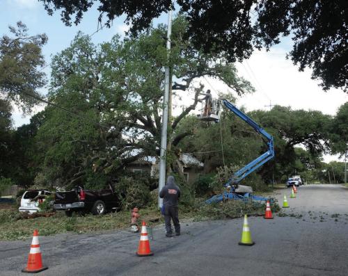 A large live oak tree at the corner of Horton St. and Fannin St. fell in the storm that passed over La Grange last Wednesday, Sept. 2. A crew from Tatonka Tree Service was on site the next morning to clean up the damage. The tree had a double trunk. It split and uprooted during the storm. Two vehicles parked in a driveway suffered major damage from the limbs that fell. Photo by Andy Behlen