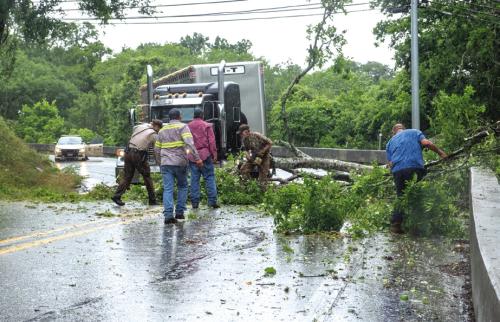 Several motorists, including one with a chainsaw, stopped to assist two Fayette County Sheriff’s Deputies in removing a downed tree from US 77 on The Bluff Thursday. Photo by Andy Behlen