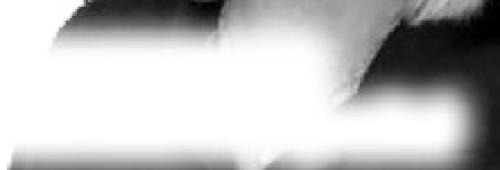 Alt Text for Image