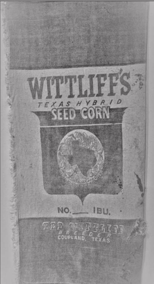 Seed Corn, courtesy of Lillie May Brightwell