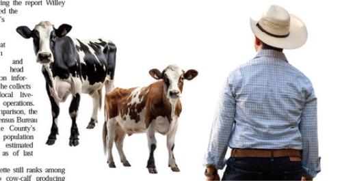 Photo Illustration by John Castaneda