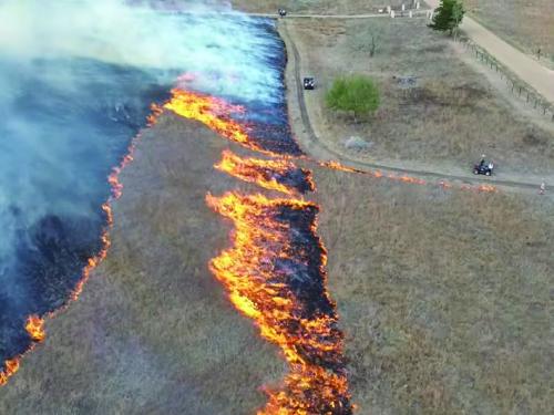 Aerial view of a prescribed burn in Fayette County on Jan. 20, showing an active flame front and established firebreaks used to safely manage native grasslands and reduce hazardous fuel loads.