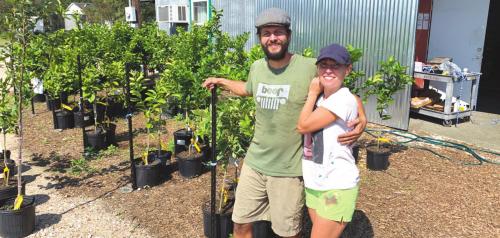 Fall is Tree Planting Time