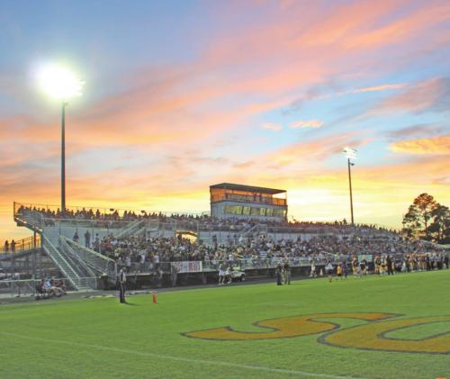 Leopard Stadium is getting artificial turf and a new track.