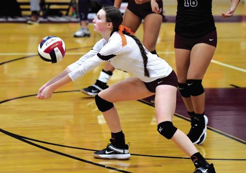 Lady Bulldogs Beat Louise