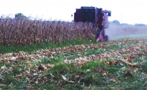 Pictured is a 40-year-old combine owned by the Tonn family, friends of David and Linda Lehmann.