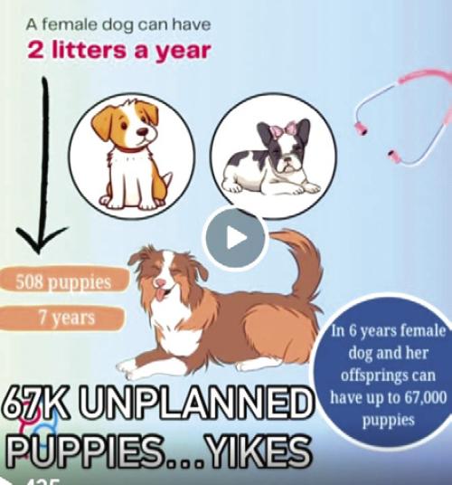 A note from reader Denise Winter: Spay/ neuter is the answer to the big problem of overpopulation and overcapacity at shelters. Gardenia Janssen Animal Shelter (979-966-0021) has vouchers for cats &amp; dogs. PUPS Prevent Unwanted Pets (979-732-5591) does as well.