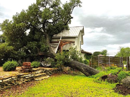 Big Oak Falls, Crushes Porch in LG