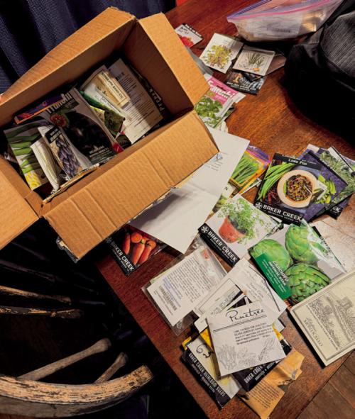 An anonymous reader sent me a big box of seeds they can no longer use. The oldest are only from 2022, so I think a lot of them will germinate.