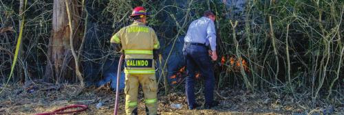 Above, La Grange Fire Chief Frank Menefee cuts down a barbed wire fence while firefighter Antonio Galindo gets ready to attack the blaze with a water hose. Below, firefighters put out a burning tree that they cut down. Photos by Andy Behlen