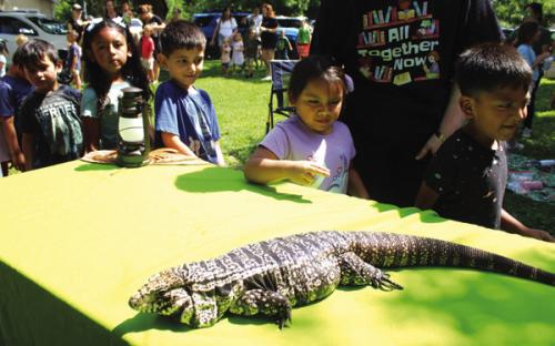 ‘Wild’ About Reading